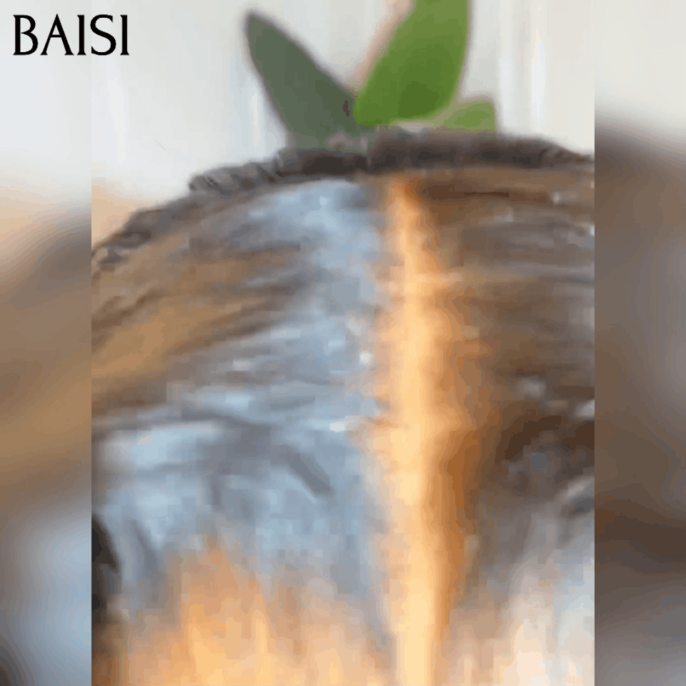 Parrucche corpo rimbalzante BAISI 5X5 10 pollici € 105 Riccioli voluminosi neri tagliati su misura Capelli Vietnam Densità del 300% oltre 20 anni di utilizzo