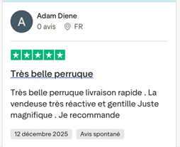 BAISI Nouvelle Arrivée Perruques Moitié Prix 13x4 frontal Lace 189€ ou Vietnam Hair 329€  Chignon de nattes NOIR en chignon bun En 100% cheveux humains